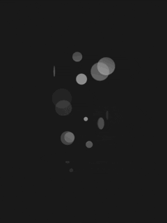 0336.gif